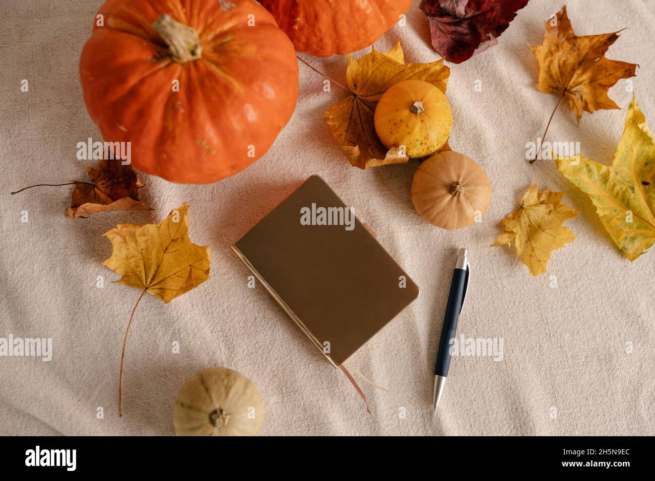 Pumpkins iin Autmn o Fall Set Up con notebook su tavolo. Zucca arredamento accogliente. Ufficio autunnale. Libro di memoria Foto Stock