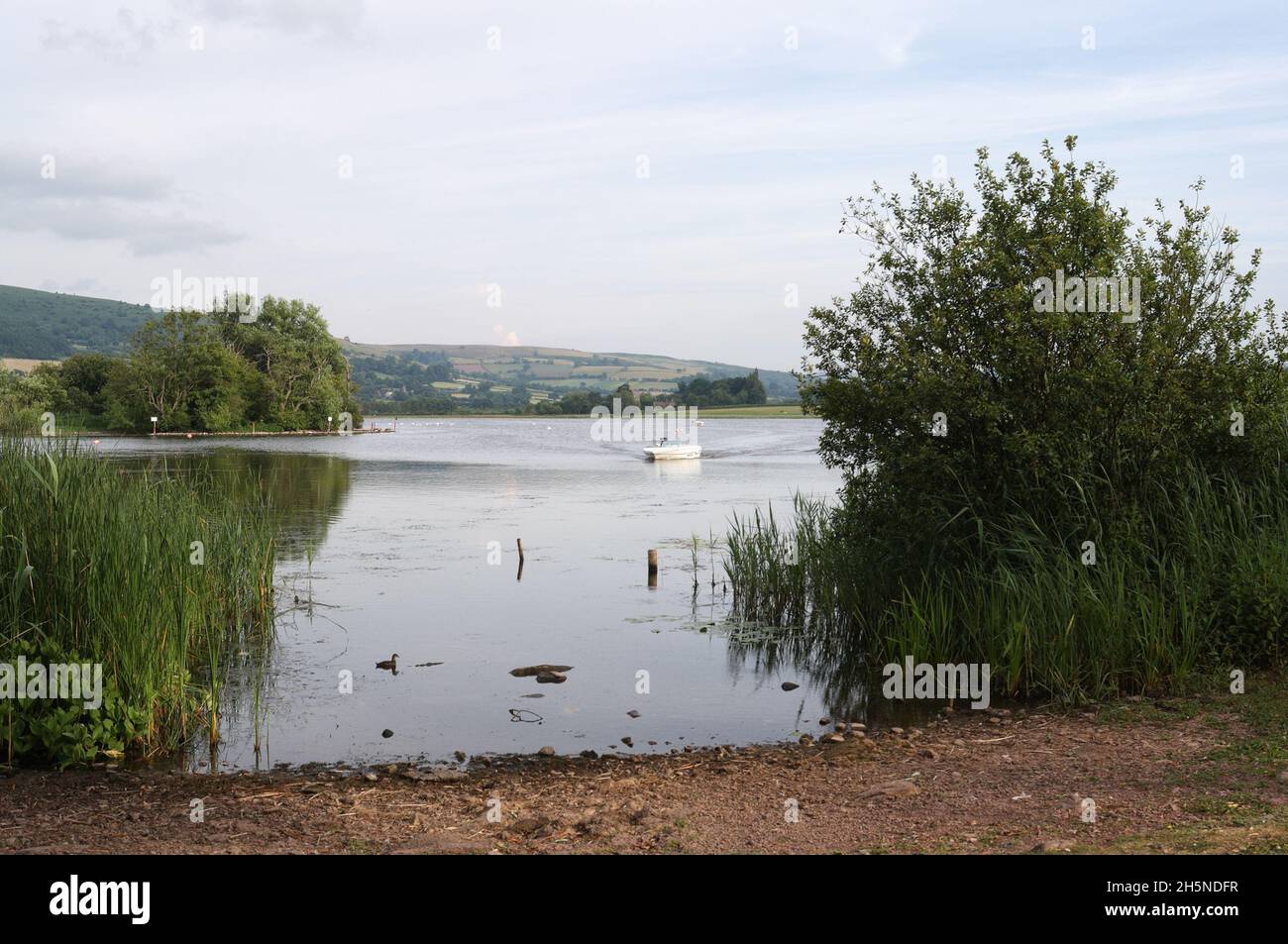 Lago di Llangorse nel Brecon Beacons Bannau Brycheiniog National Park a Powys, Galles, Regno Unito Foto Stock