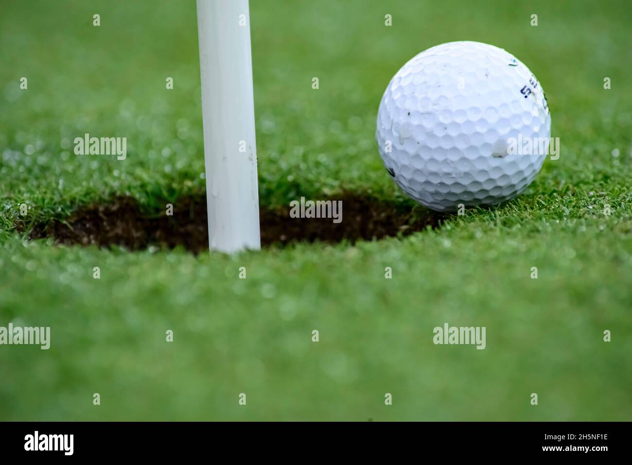 es una fotografia orizzontale en la que se ve perfectamente enfocada la pelota de golf en el borde del hoyo Foto Stock