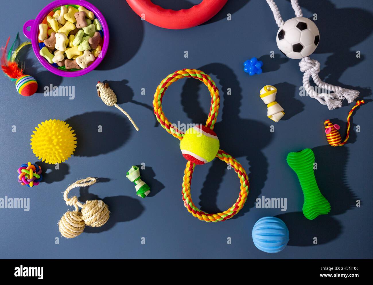 Diversi accessori multicolore per la cura degli animali domestici: Ciotola, ossa, palle, snack, mouse su sfondo blu. Accessori in gomma e tessuto per cani e gatti. Foto Stock