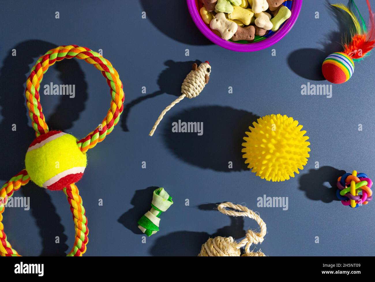 Diversi accessori multicolore per la cura degli animali domestici: Ciotola, ossa, palle, snack, mouse su sfondo blu. Accessori in gomma e tessuto per cani e gatti. Foto Stock