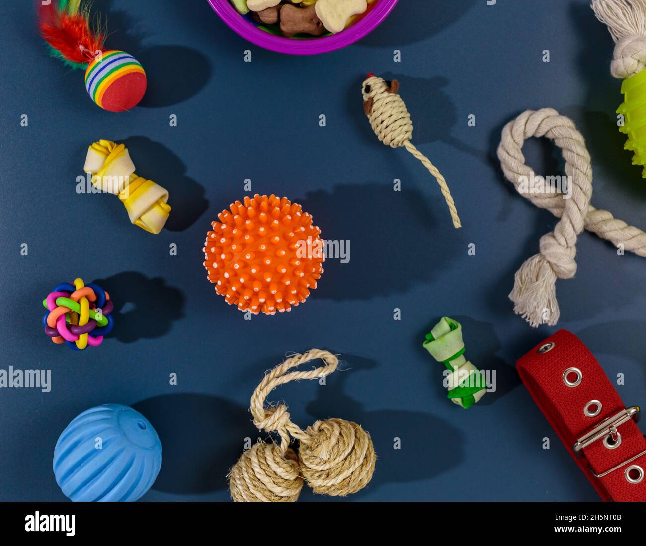 Diversi accessori multicolore per la cura degli animali domestici: Ciotola, ossa, palle, snack, mouse su sfondo blu. Accessori in gomma e tessuto per cani e gatti. Foto Stock