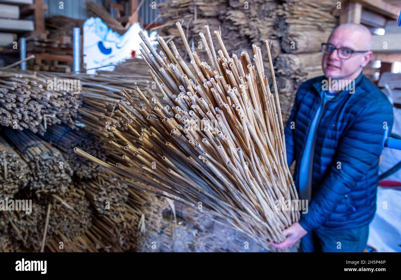 PRODUZIONE - 25 ottobre 2021, Meclemburgo-Pomerania occidentale, Kröpelin: Hannes Subklew, uno dei fondatori della start-up Rohalm, controlla la qualità della canna per la produzione di cannucce riutilizzabili. L'azienda produce le paillette lavabili in lavastoviglie da un anno. Dal divieto della plastica usa e getta, i ristoratori e gli organizzatori del partito cercano prodotti sostenibili alternativi. Nelle officine per disabili, la canna lunga più di due metri viene tagliata, pulita e levigata e vengono consegnate alla settimana diverse migliaia di cannucce da bere con diametri diversi. (a dpa Foto Stock