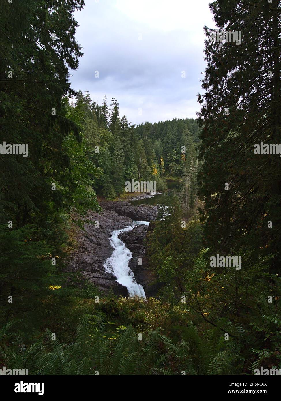 Bella vista della famosa cascata al Parco Provinciale di Elk Falls vicino a Campbell River, Vancouver Island, British Columbia, Canada nella stagione autunnale. Foto Stock