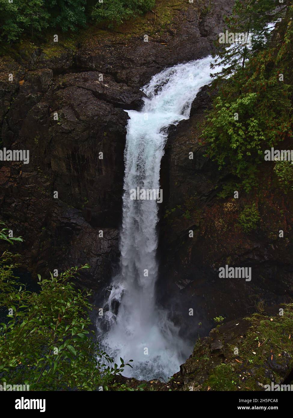 Bella vista ad angolo di Cascade Elk Falls situato in un parco provinciale vicino al fiume Campbell sull'isola di Vancouver, British Columbia, Canada. Foto Stock