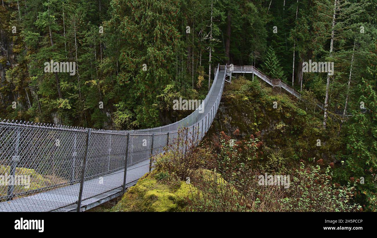 Vista del ponte sospeso che attraversa un canyon nel Parco Provinciale di Elk Falls vicino al fiume Campballe sull'isola di Vancouver, British Columbia, Canada in autunno. Foto Stock