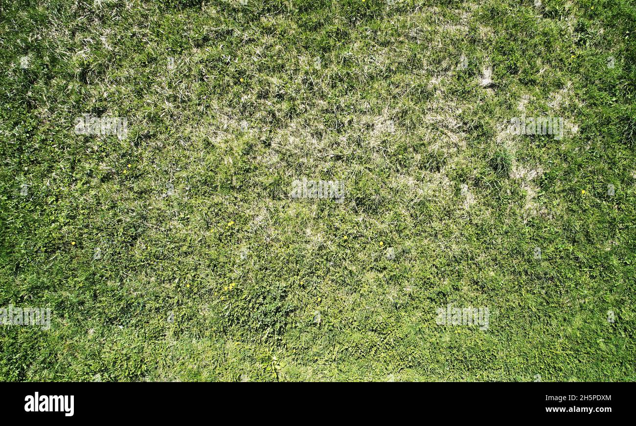 Giardino verde erba sfondo sopra vista dall'alto con punti asciutti Foto Stock