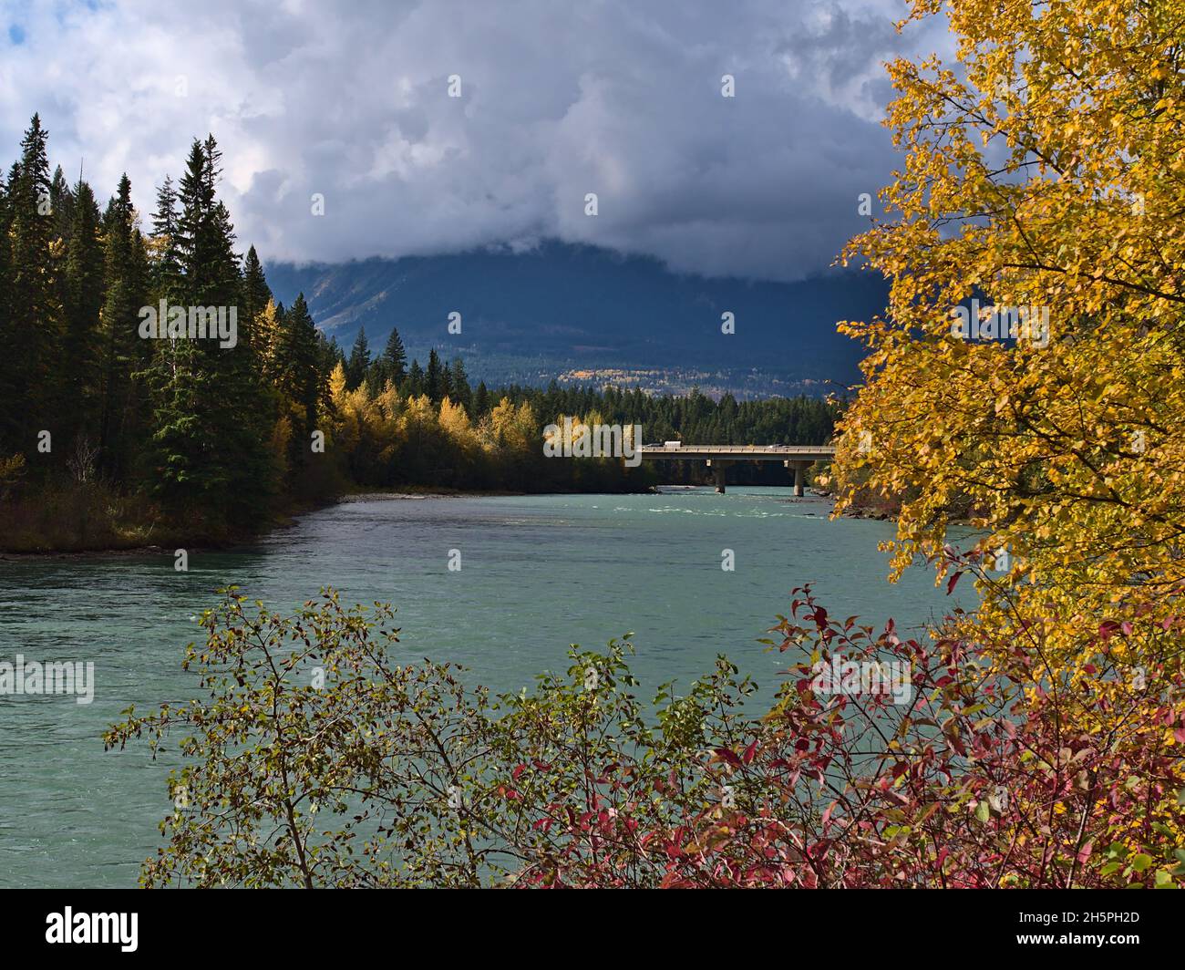 Splendida vista sul fiume Fraser in autunno con alberi colorati e cespugli vicino a Tete June cache, British Columbia, Canada nella Robson Valley. Foto Stock