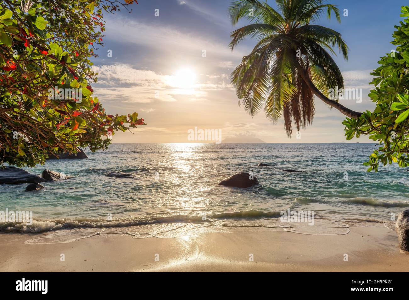 Coco si affaccia sulla spiaggia tropicale al Tramonto e sul mare turchese nell'isola del Paradiso. Foto Stock