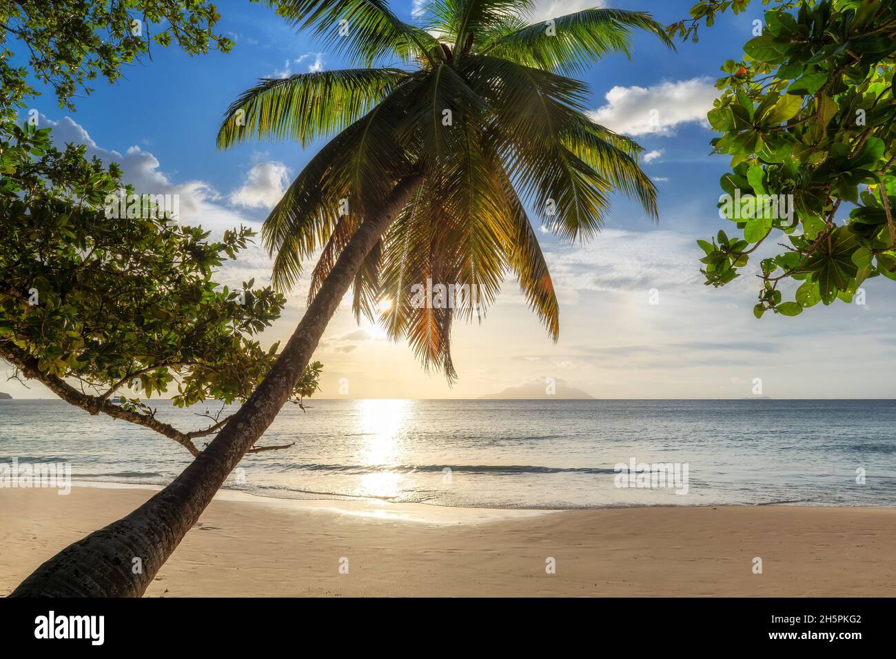 Coco si affaccia sulla spiaggia tropicale al Tramonto e sul mare turchese nell'isola del Paradiso. Foto Stock