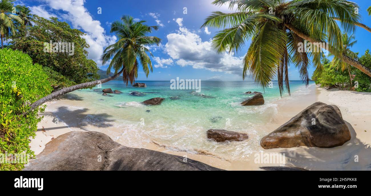 Spiaggia Paradise con palme coco e mare tropicale. Foto Stock