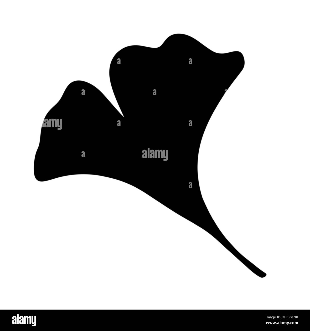 Modello senza cuciture Ginkgo per tessuti e tessuti e imballaggi e regali, carte e biancheria Foto Stock