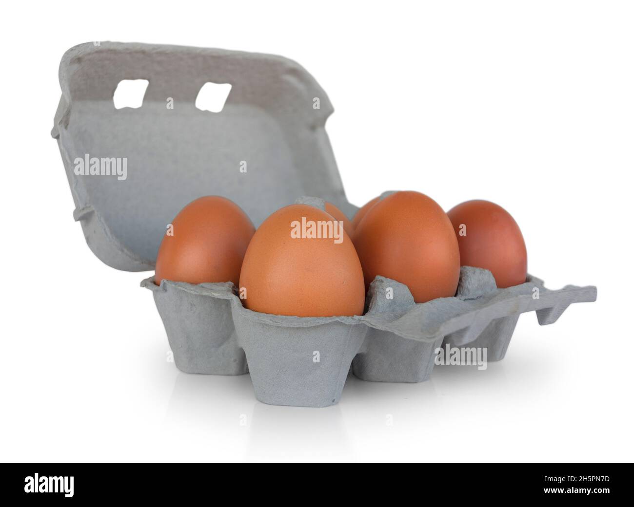 Sei uova marroni su scatola di cartone isolato su sfondo bianco Foto Stock