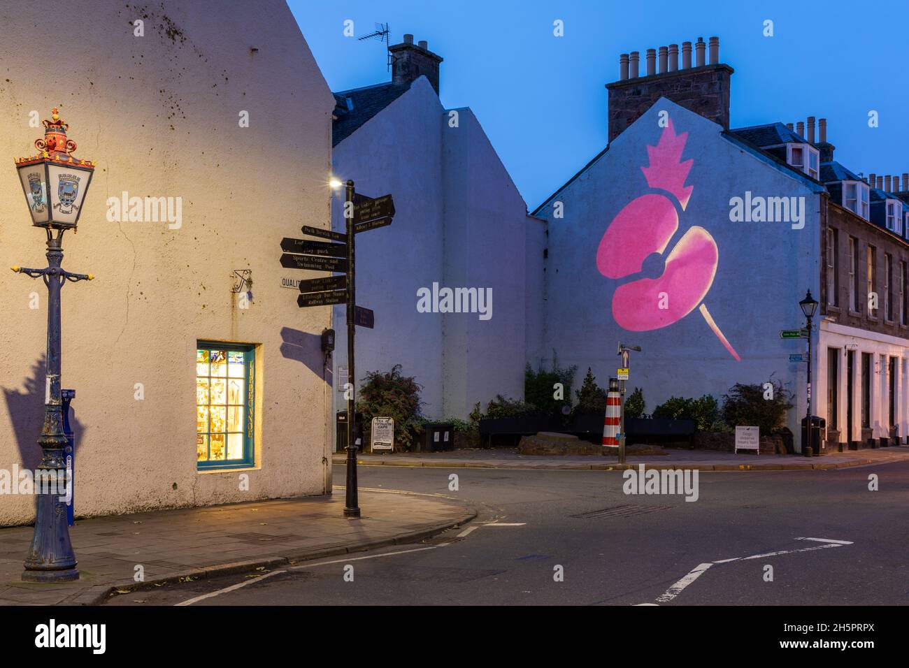 Un grande papavero esposto sul lato di una casa a North Berwick, East Lothian per ricordo giorno 2021. Foto Stock