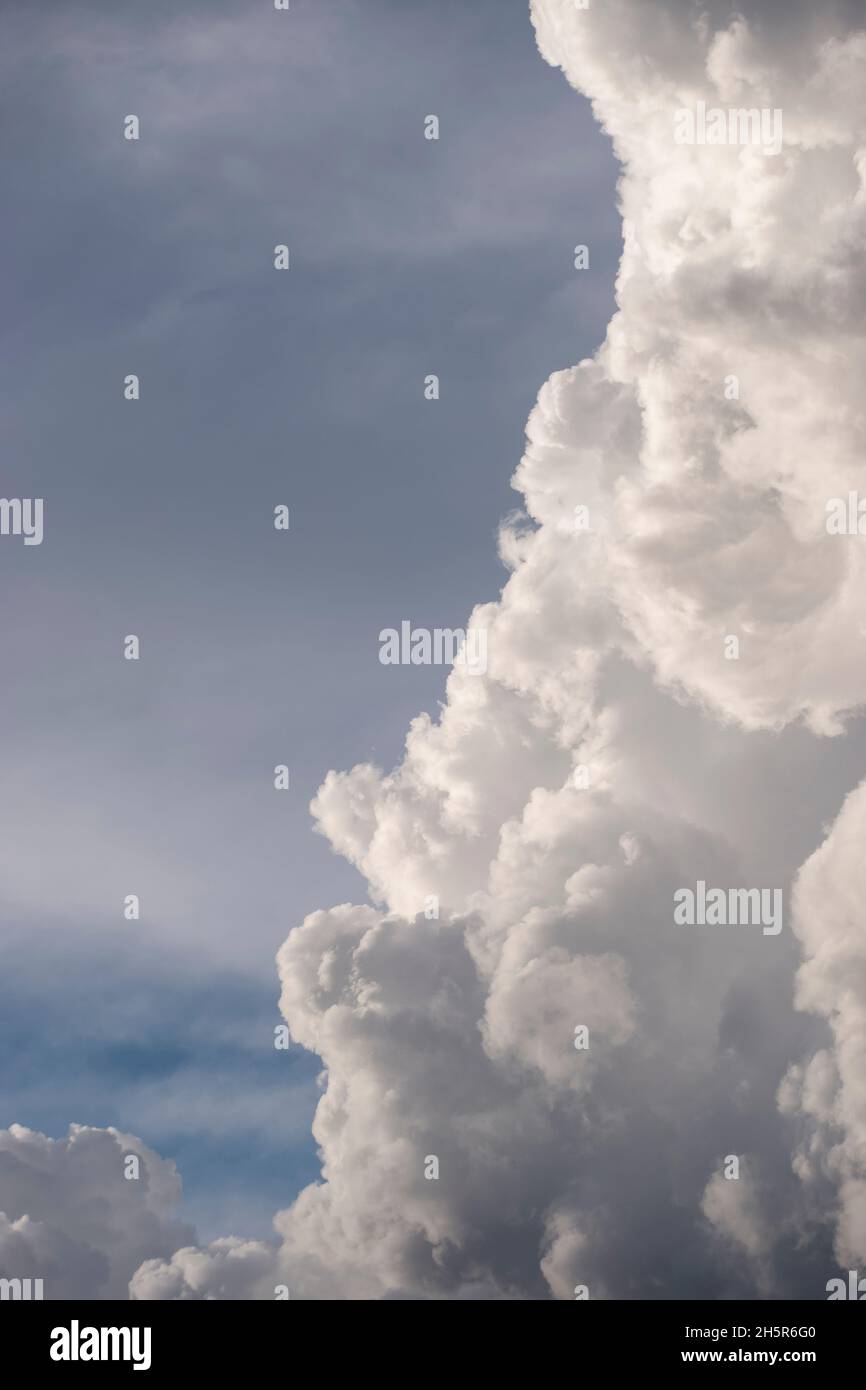 Drammatico bordo verticale di una banca di nube di cumulo grigia e bianca, in contrasto con il cielo di sfondo blu pallido. Tempo primaverile in Queensland, Australia. Foto Stock