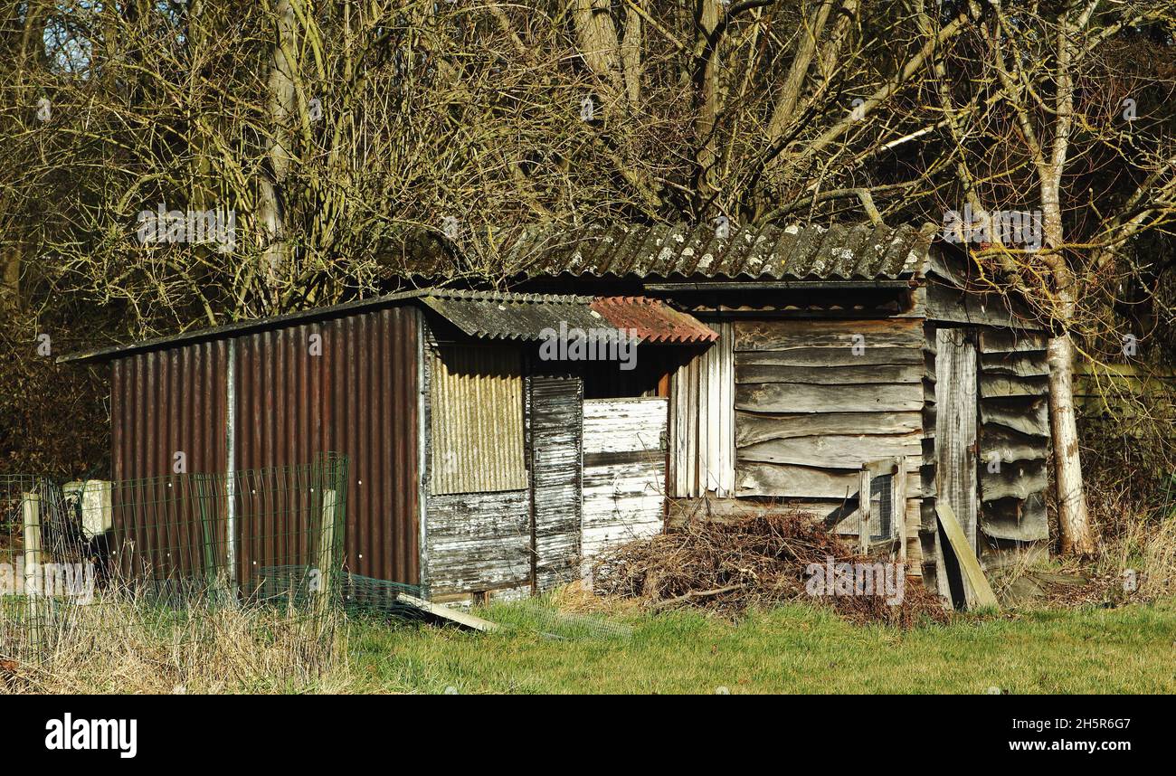 Piccolo vecchio capannone di legno circondato da erba e foresta. Costruzione con legno e materiali spazzatura. Tetto con piastre in amianto. Foto Stock