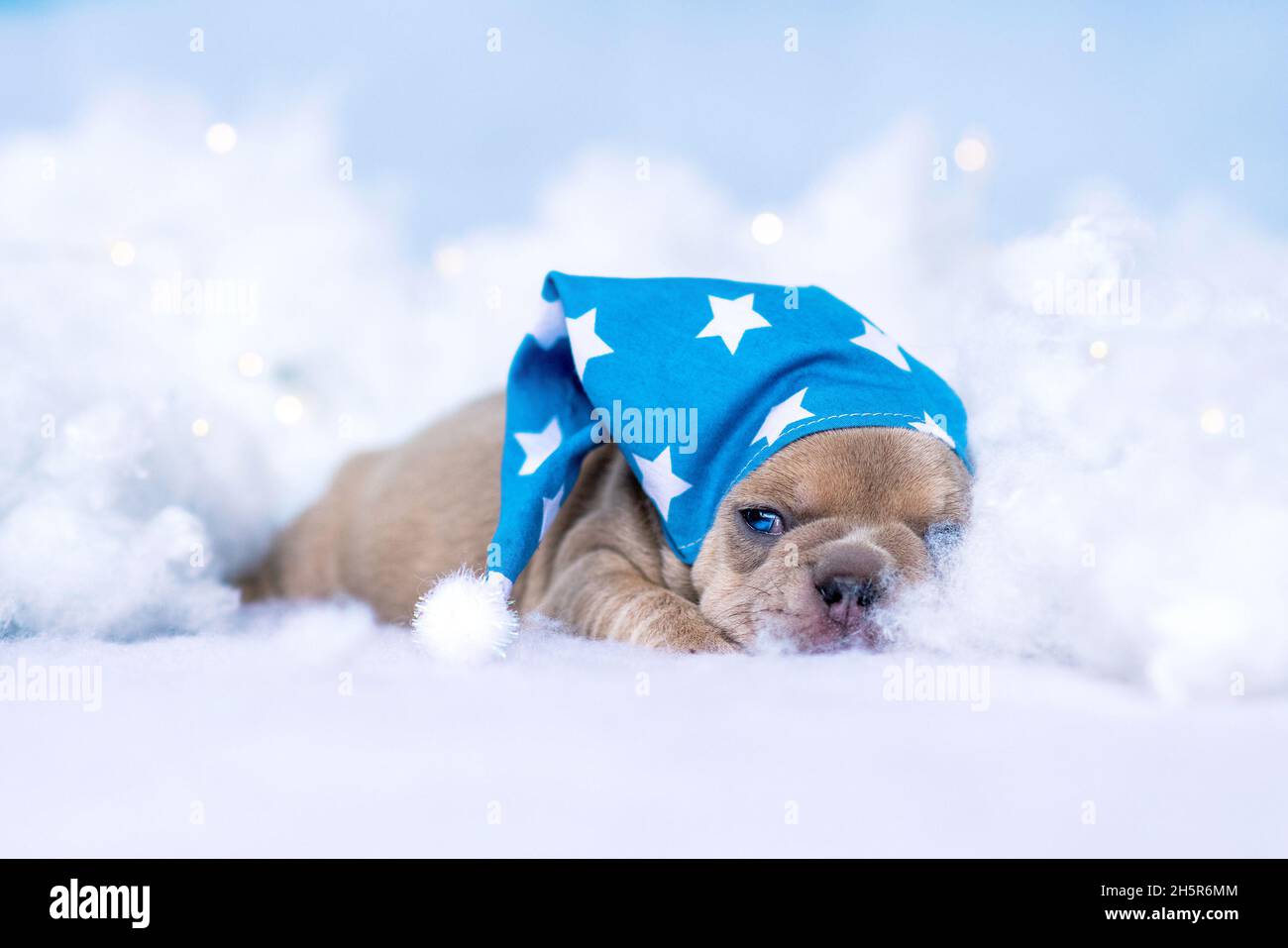 Berretto Da Notte Del Cappuccio Della Cuffia Immagini e Fotos Stock - Alamy
