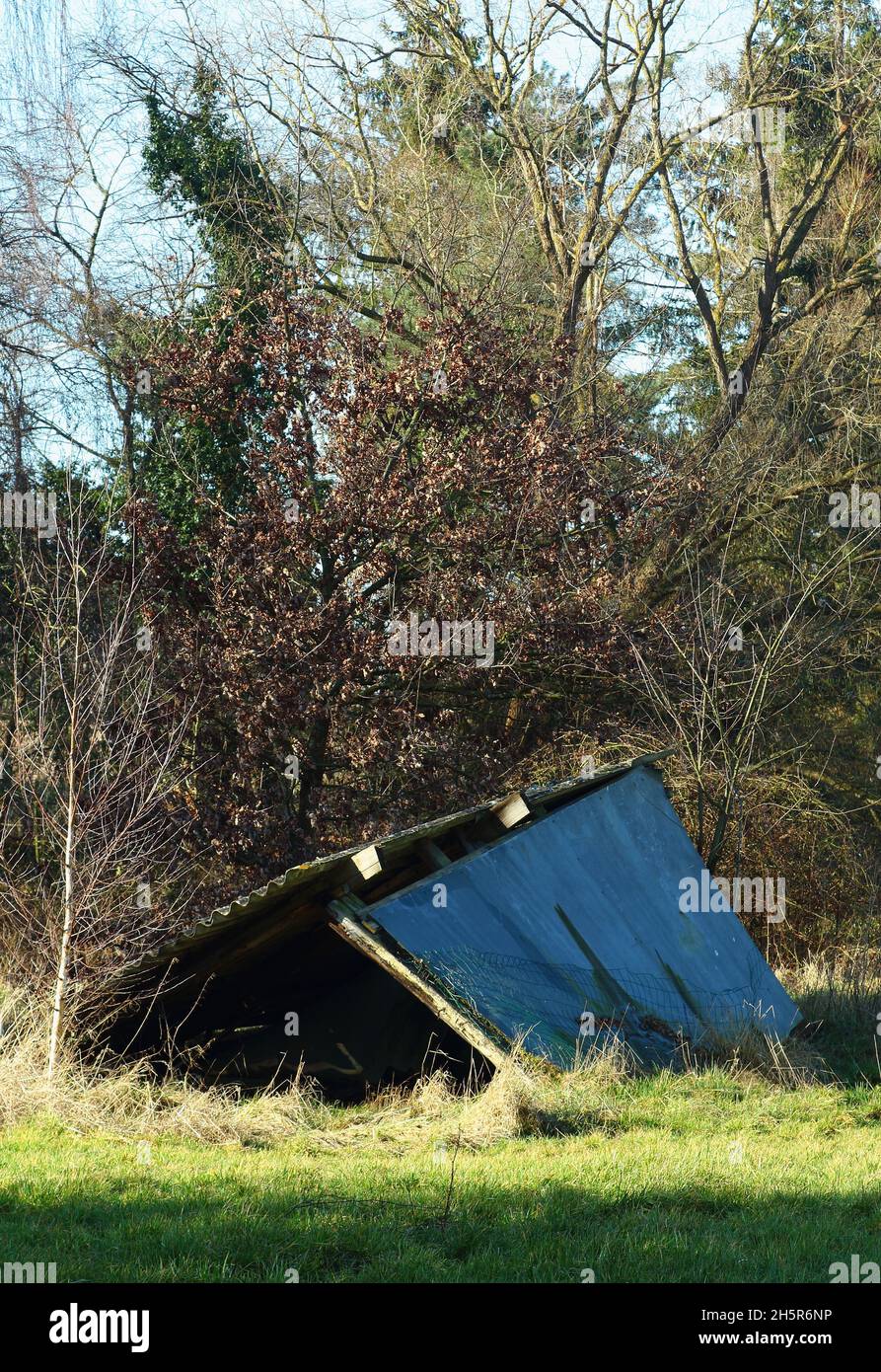 Piccolo vecchio capannone di legno circondato da erba e foresta. Costruzione con legno e materiali spazzatura. Tetto con piastre in amianto. Foto Stock