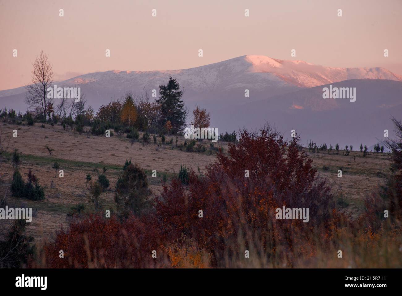 Vista delle colline di acqua che si dividono e Borzhava cresta coperto di rosso, arancio e giallo foresta decidua e alberi sotto il cielo blu in calda serata di autunno in Foto Stock