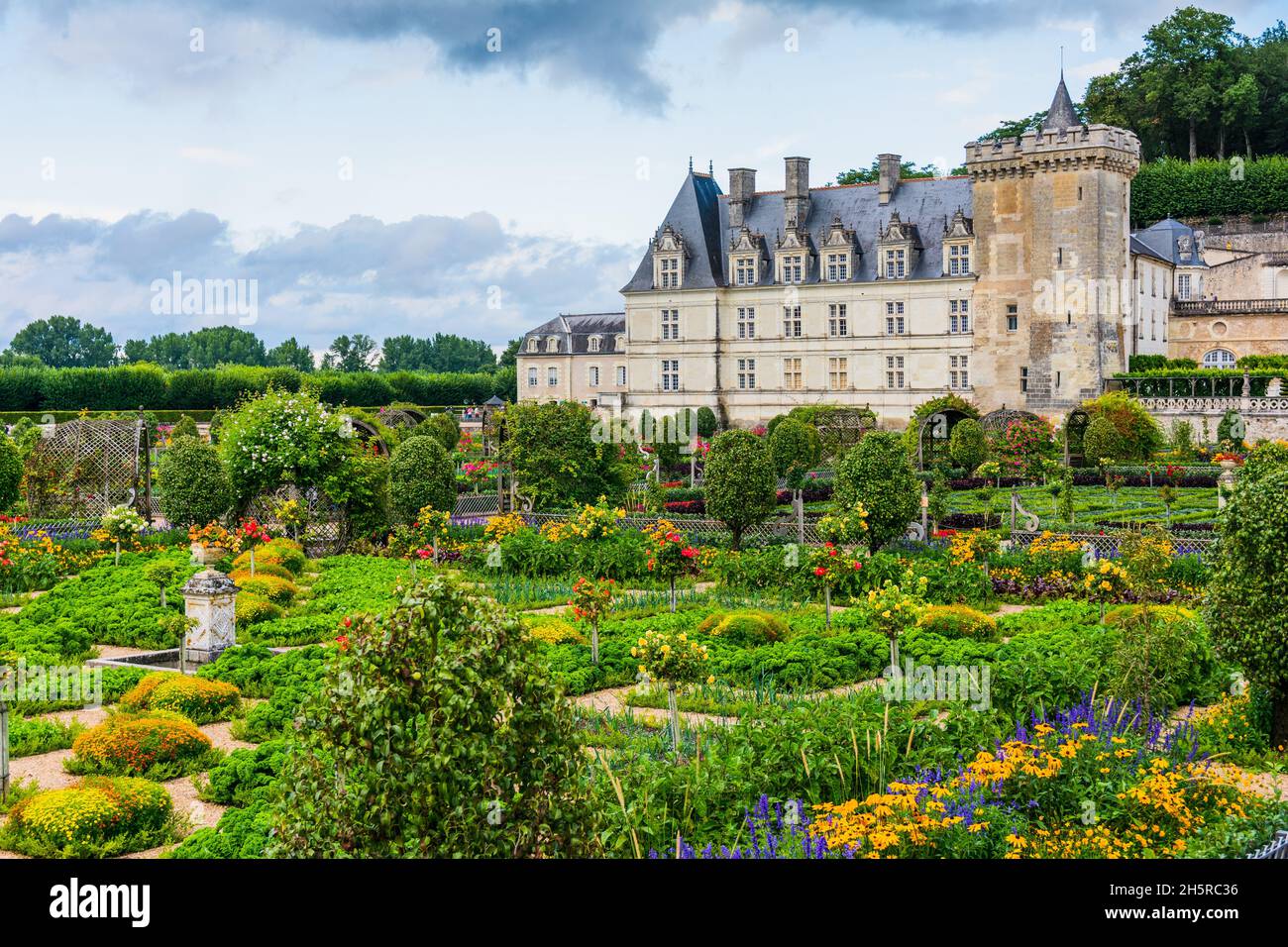 Château de Villandry, Indre-et-Loire, Centre, Francia Foto Stock