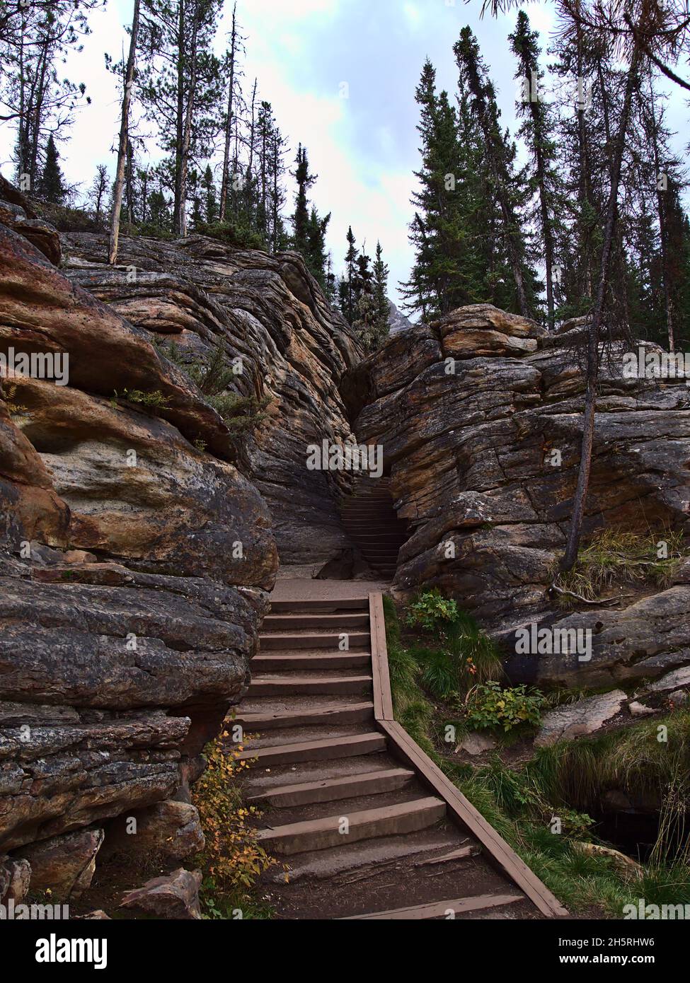 Gradini di legno che conducono attraverso lo stretto divario tra rocce colorate erose con strati visibili nella foresta vicino alle cascate Athabasca, Jasper National Park, Canada. Foto Stock