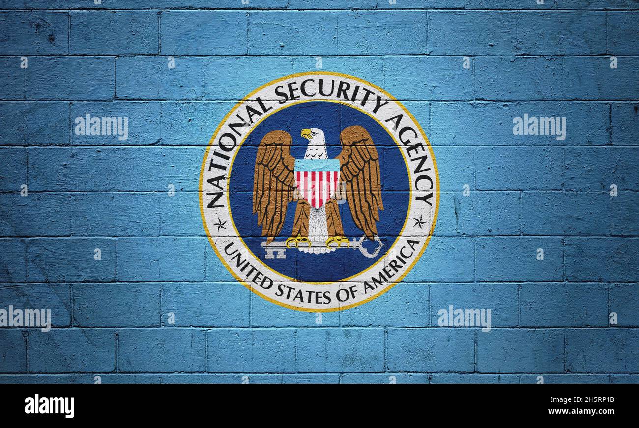 La bandiera della NSA (Agenzia Nazionale di sicurezza) dipinta su un muro di mattoni. Foto Stock