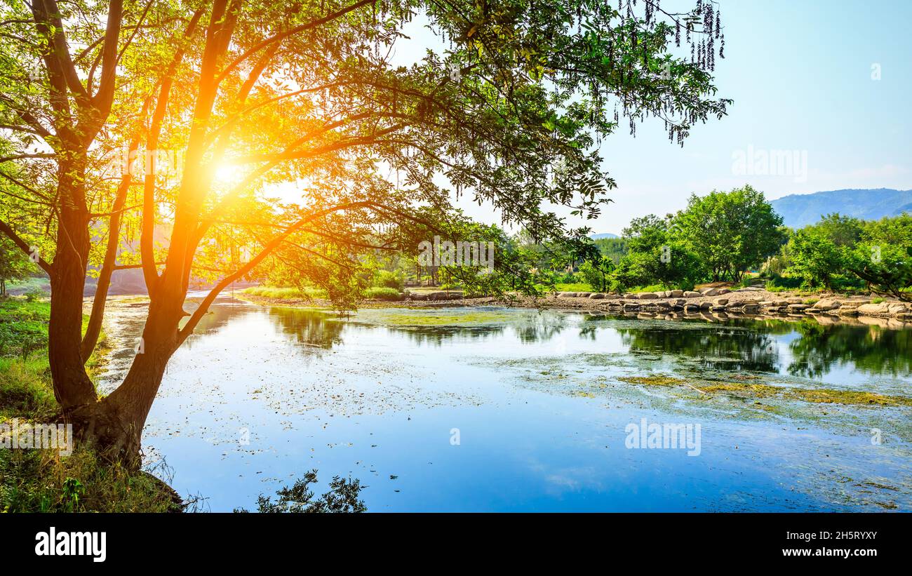 Verde foresta e fiume con paesaggio naturale di montagna. Foto Stock