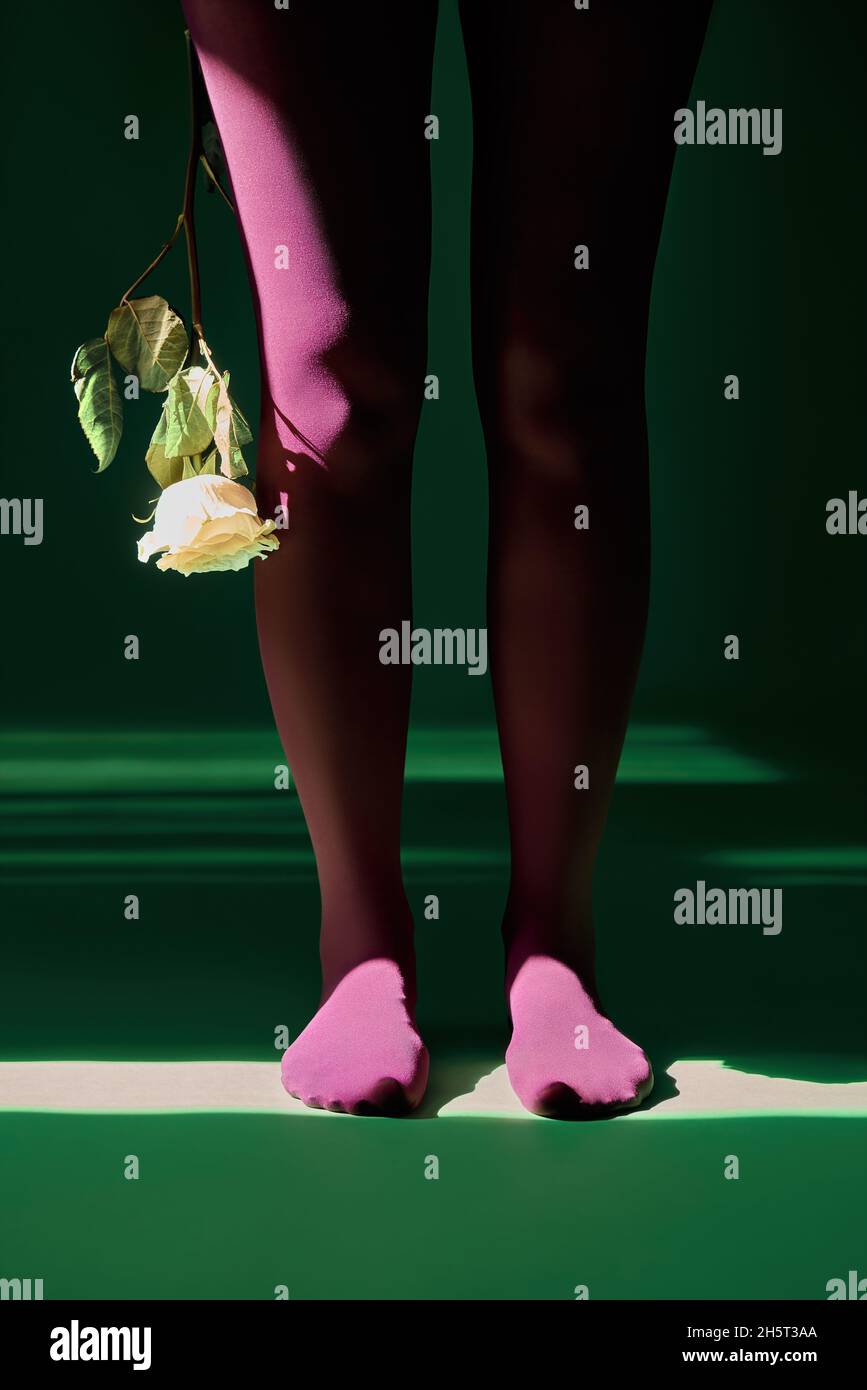 Vista frontale primo piano belle gambe femminili in tights luminosi che tengono rosa bianca in raggio di luce solare su sfondo verde Foto Stock