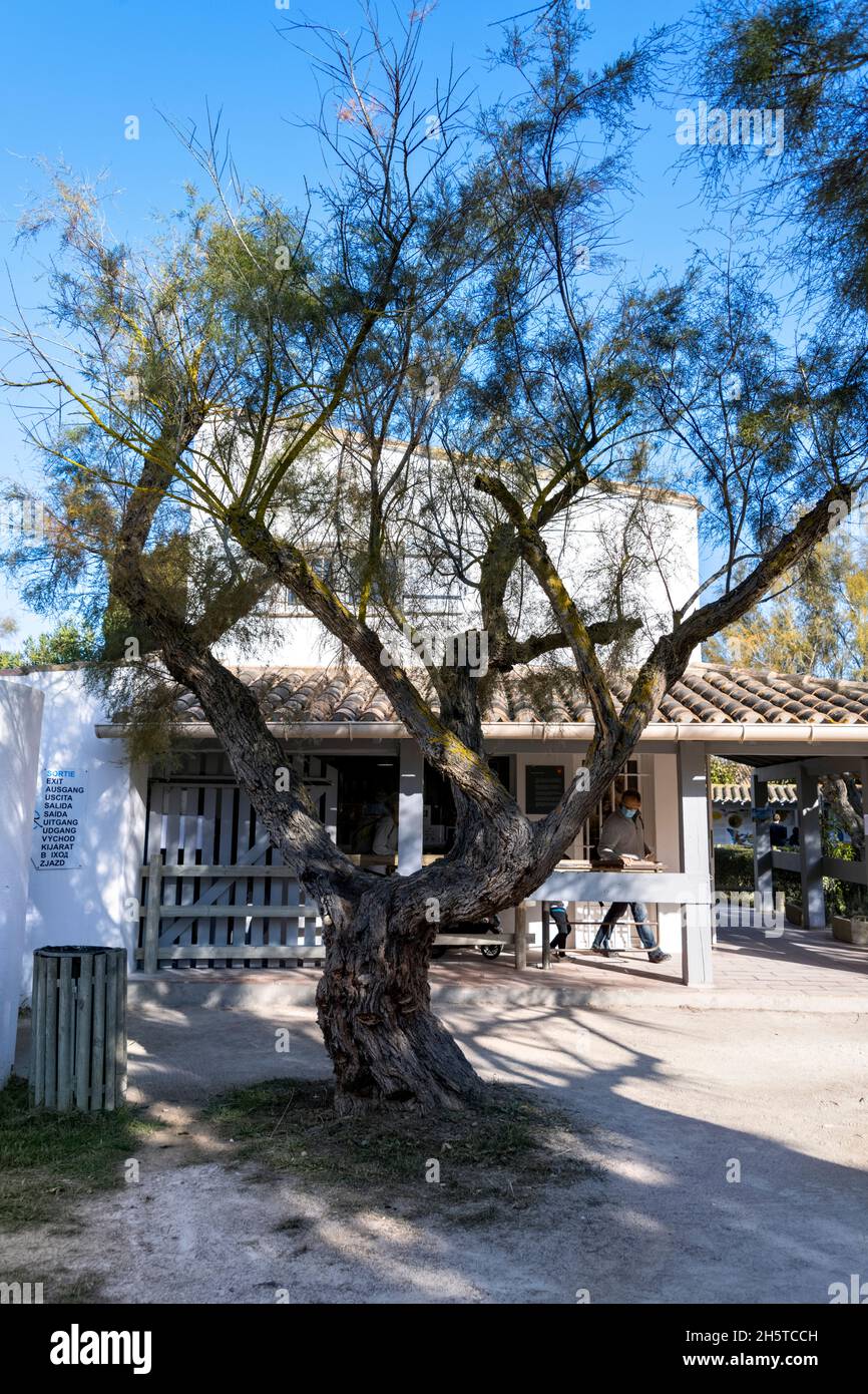 Ingresso al Parco Nazionale della Camargue Francia Foto Stock
