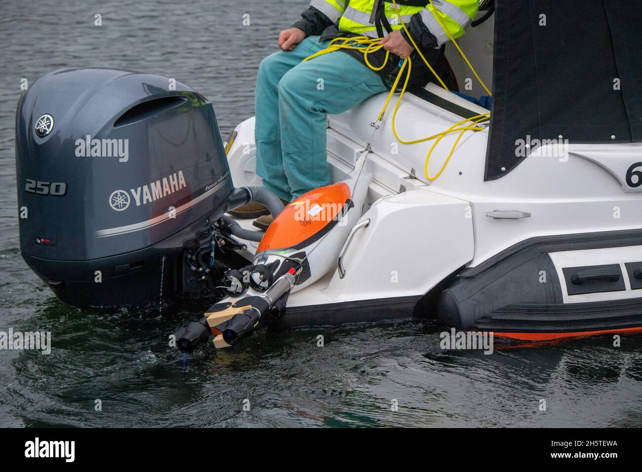 Stralsund, Germania. 11 Nov 2021. I ricercatori testano il prototipo di un drone subacqueo a forma di pinguino nel porto di Stralsund. I veicoli veloci con resistenza all'acqua estremamente bassa dovrebbero contribuire in particolare ad esplorare i piccoli eddies dell'oceano. Credit: Stefan Sauer/dpa/Alamy Live News Foto Stock