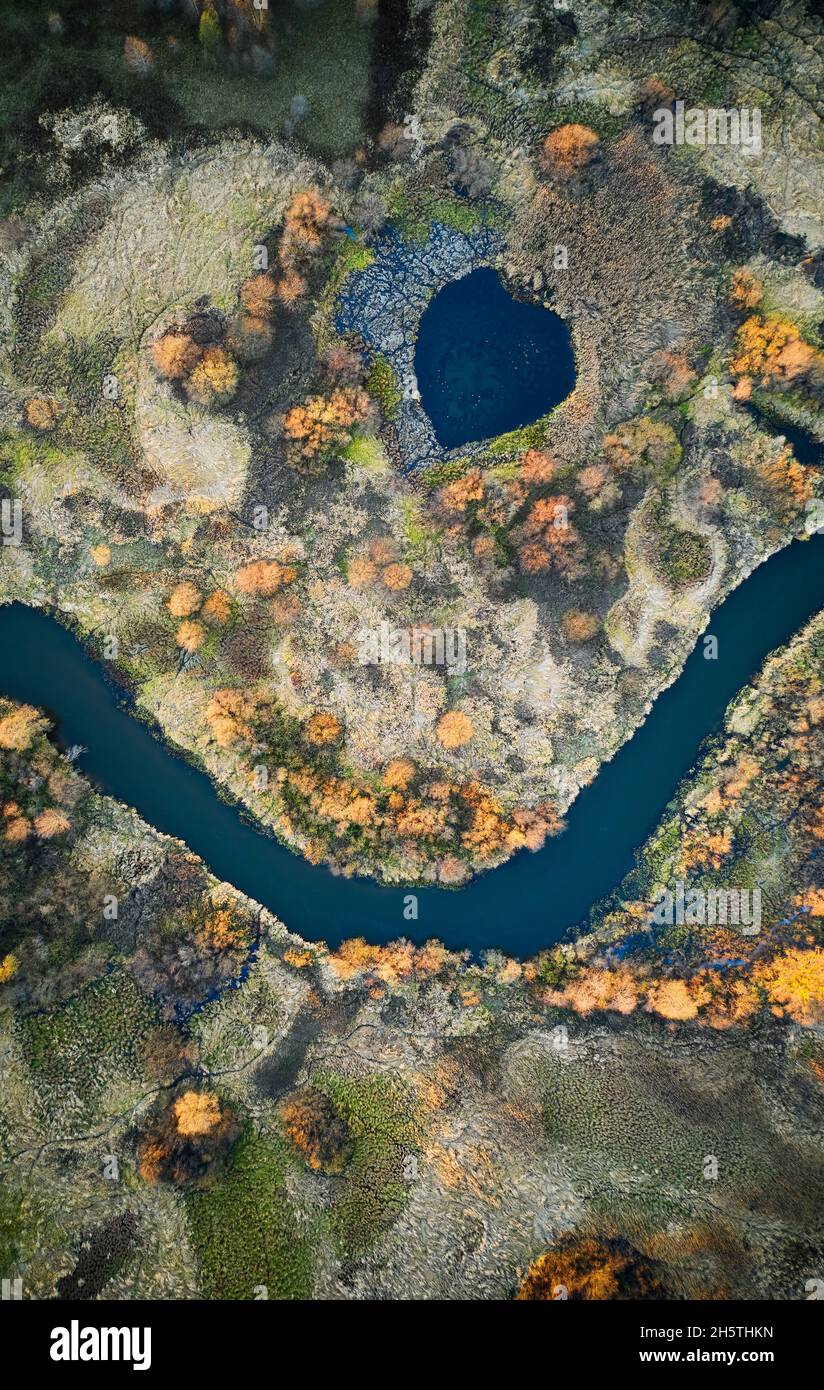 Foresta gialla in autunno e fiume blu, vista dall'alto. Foto Stock