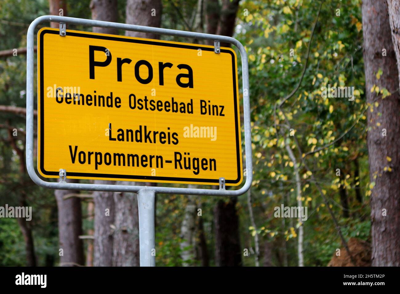 Gelbes Ortseingangsschild 'Prosa Gemeinde Ostseebad Binz Landkreis Vorpommern-Rügen' an einem Straßenrand mit Bäumen am Ortseingang Prora. Foto Stock