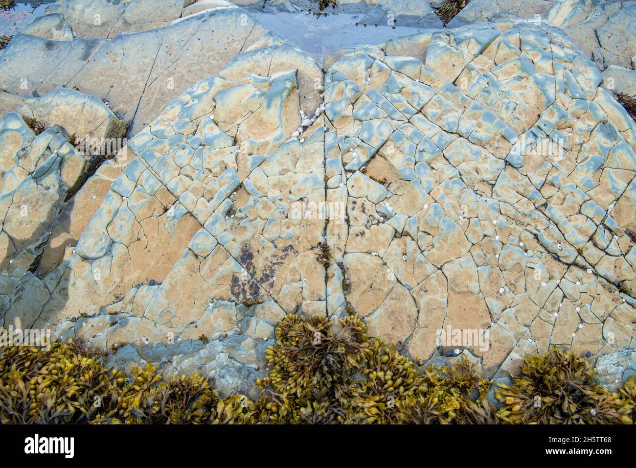 Lobster Cove Head Rocks, Gros Morne National Park, Terranova e Labrador NL, Canada Foto Stock