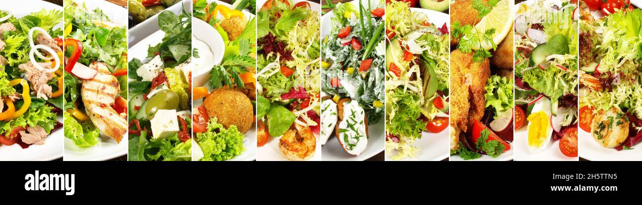 Varie insalate con aggiunte - Panorama su sfondo bianco Foto Stock