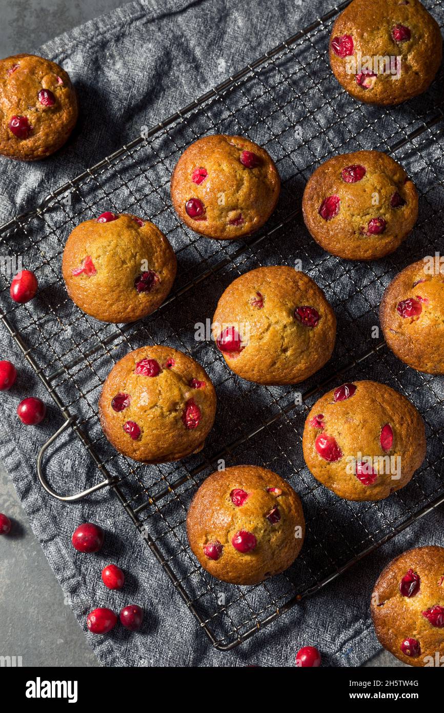 Colazione fatta in casa muffin al mirtillo con succo d'arancia Foto Stock