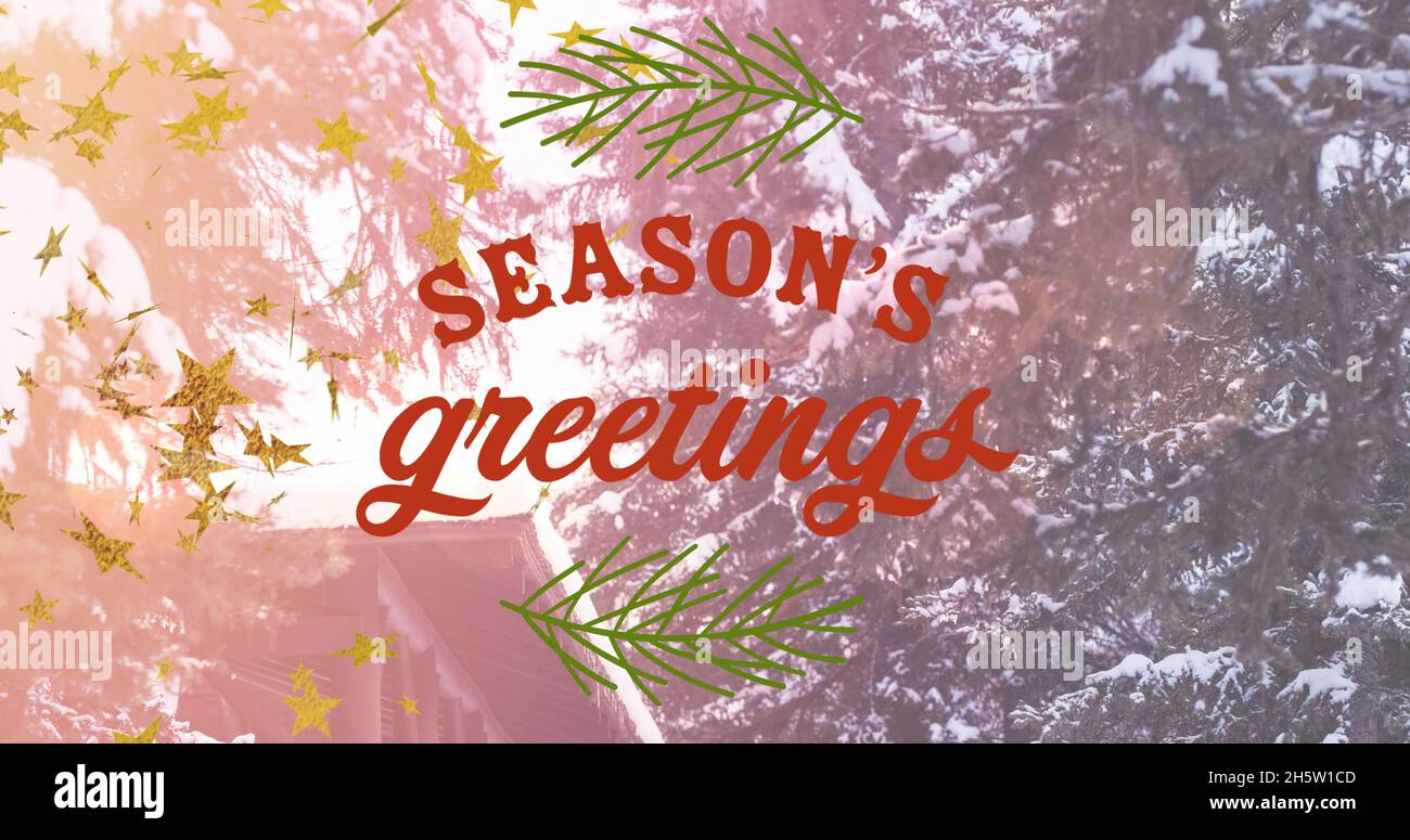 Immagine di stagioni saluti testo su alberi di abete Foto Stock