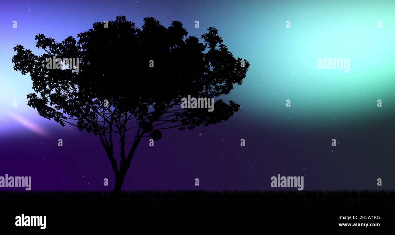 Immagine di albero a natale su aurora Foto Stock