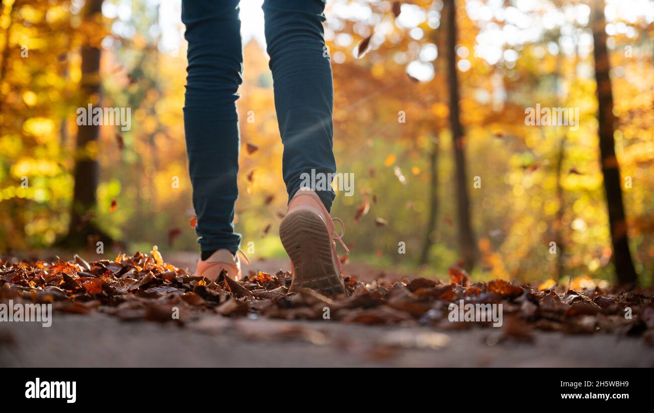 Vista ad angolo basso dei piedi femminili in serpenti che camminano su una strada coperta con foglie autunnali in bella natura colorata della caduta. Foto Stock