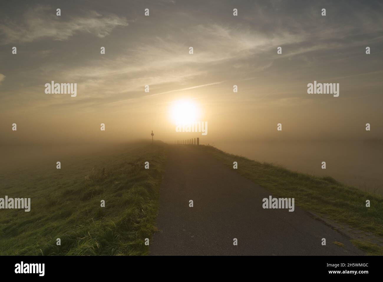 Sonnenaufgang im Nebel Foto Stock