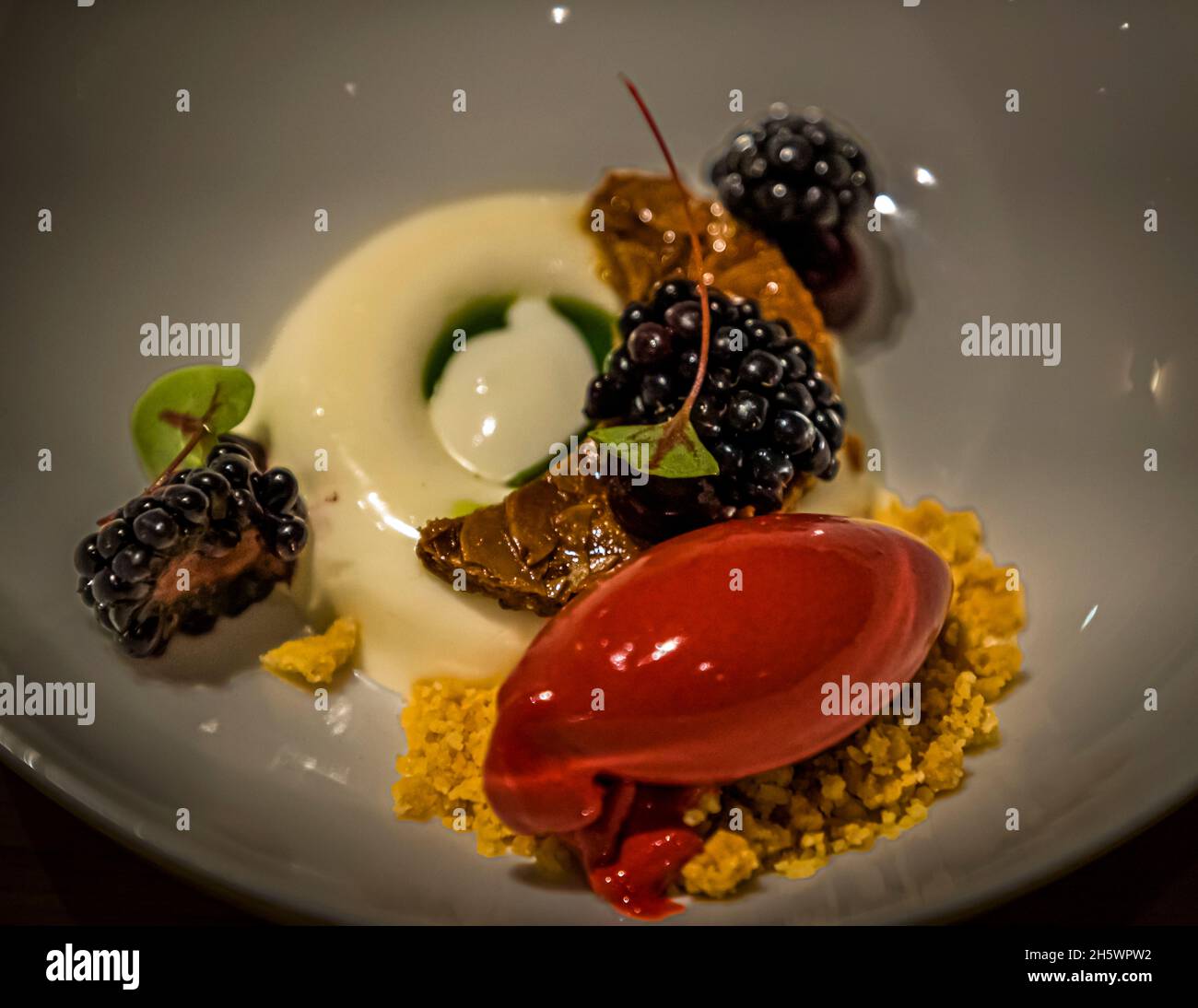 Dessert di yogurt al latte di capra con olio di basilico, gelato alla mora e gel di ribes nero al ristorante Cèpes dell'Hotel Sterrenberg a Otterlo, Paesi Bassi Foto Stock