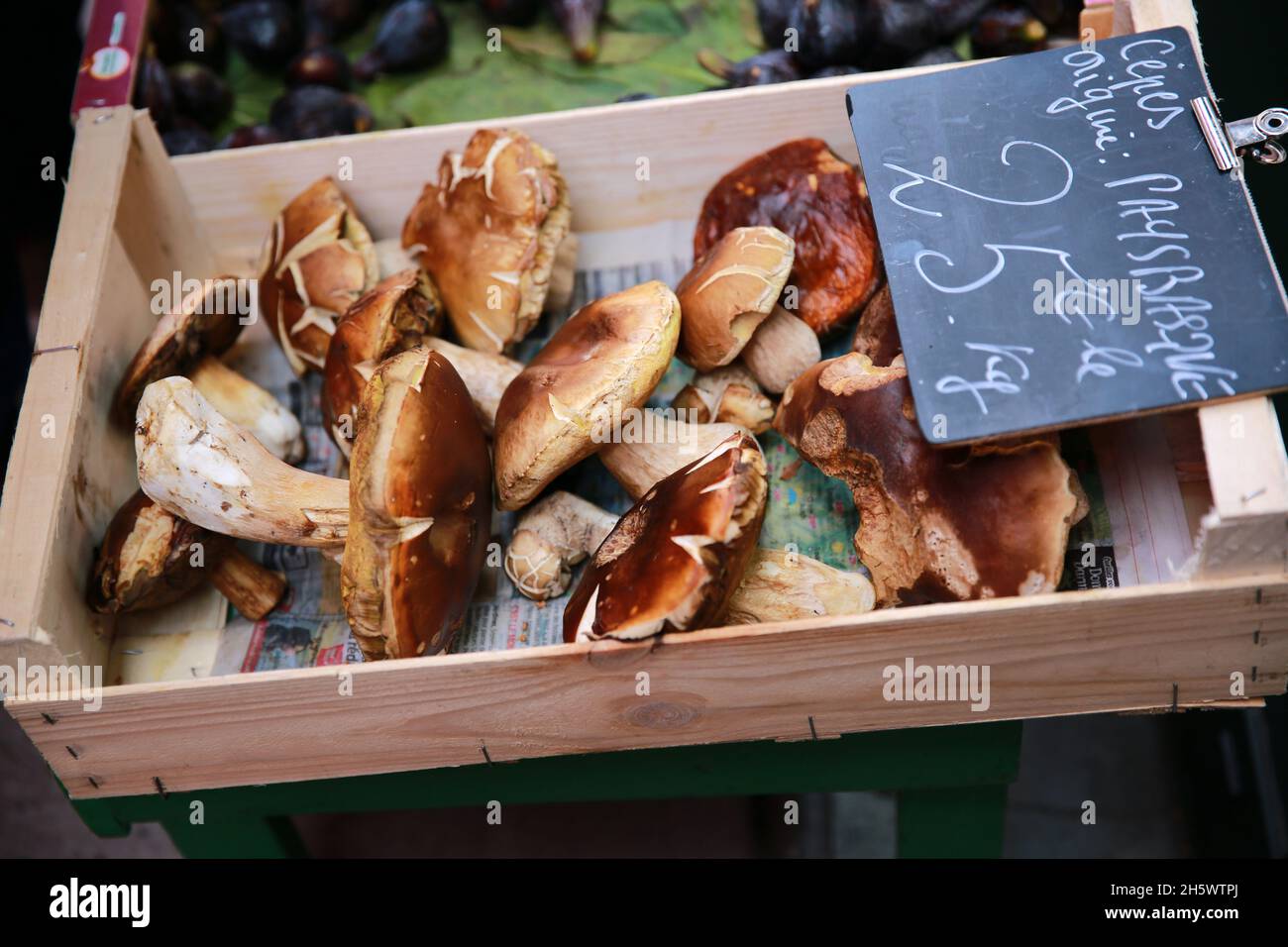 CEP funghi in vendita, Pays Basque, Pirenei, Francia Foto Stock