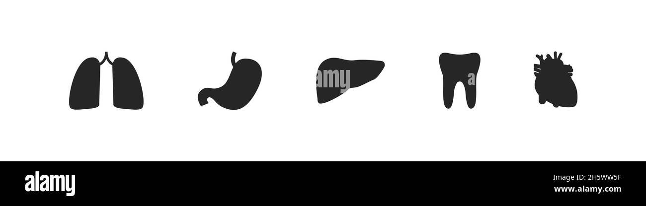 Polmoni, cuore, fegato, stomaco, dente umano corpo organo icona set, piatto interno organi silhouette vettore simbolo illustrazione collezione. Illustrazione Vettoriale