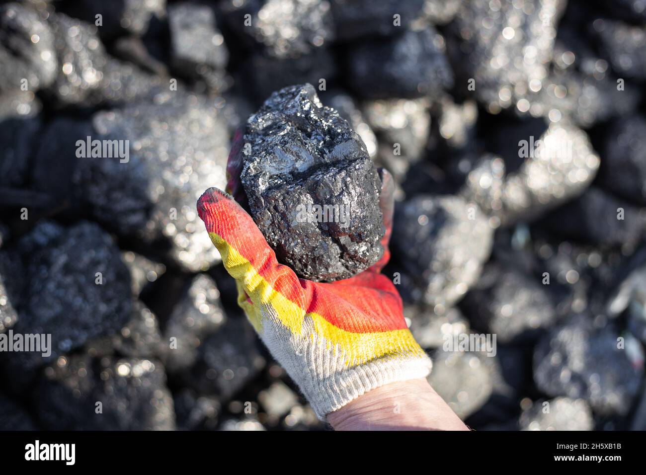 Un grande pezzo di carbone lucido in mano di un uomo. Combustibili fossili per stufe e caminetti. Estrazione del carbone. Foto Stock