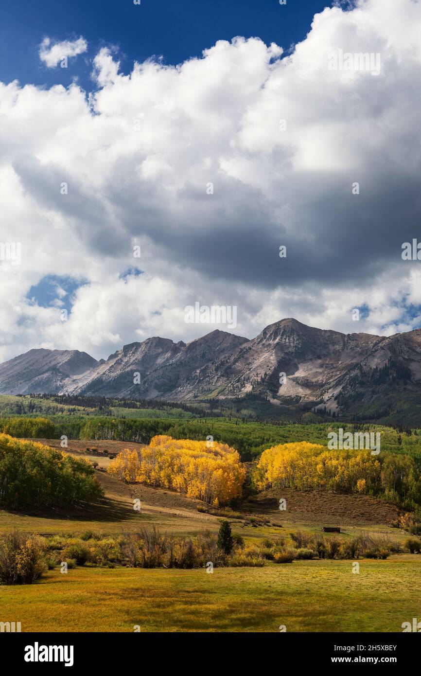 Colori autunnali su alberi di Aspen vicino alla cima dell'Ohio Pass nelle West Elk Mountains vicino Crested Butte, Colorado Foto Stock
