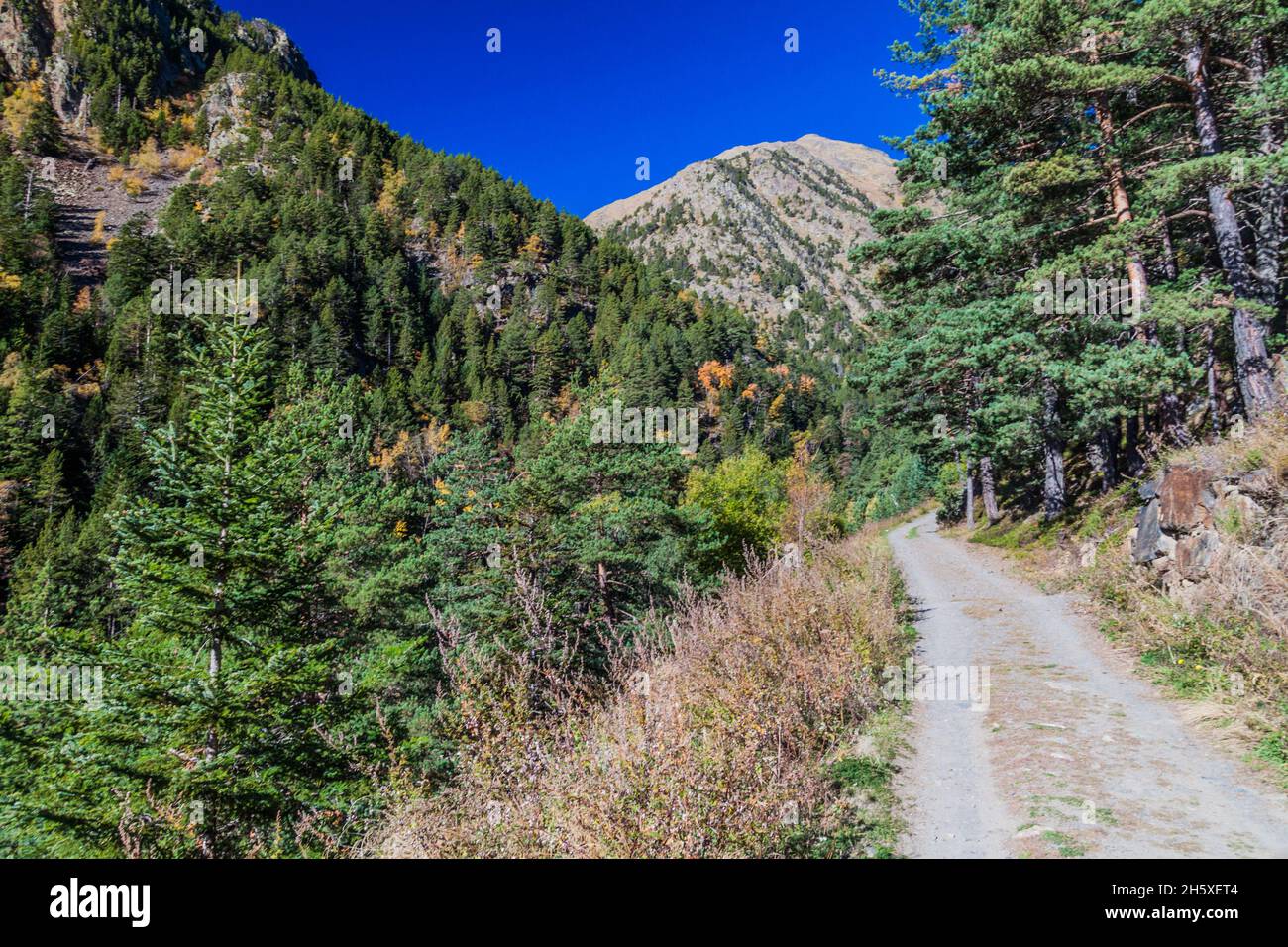 Sentiero escursionistico dal villaggio di Arinsal alla vetta Coma pedrosa, Andorra Foto Stock