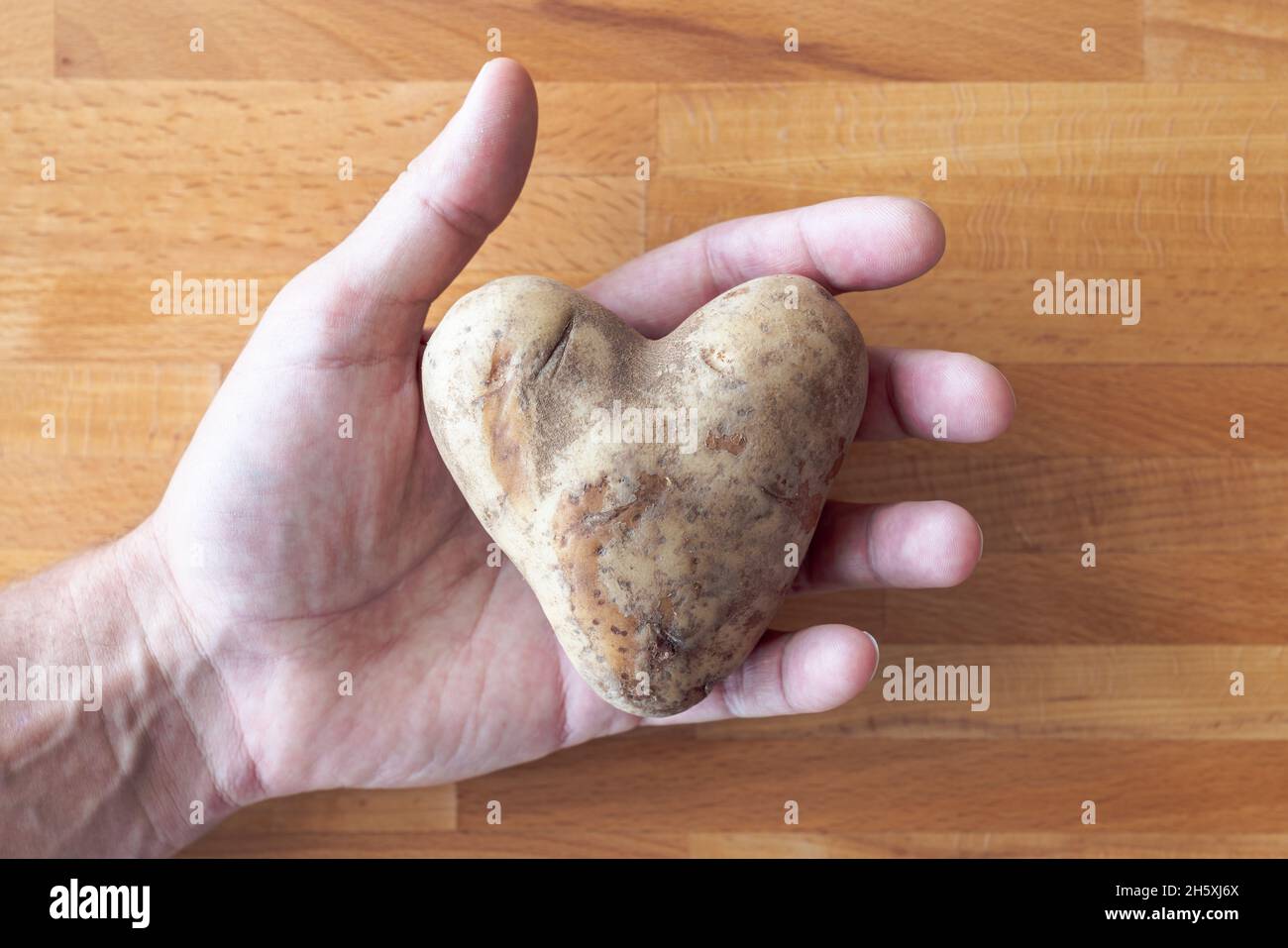 Un uomo tiene una patata bianca a forma di cuore nel palmo aperto e le dita su uno sfondo di legno tagliere. Foto Stock