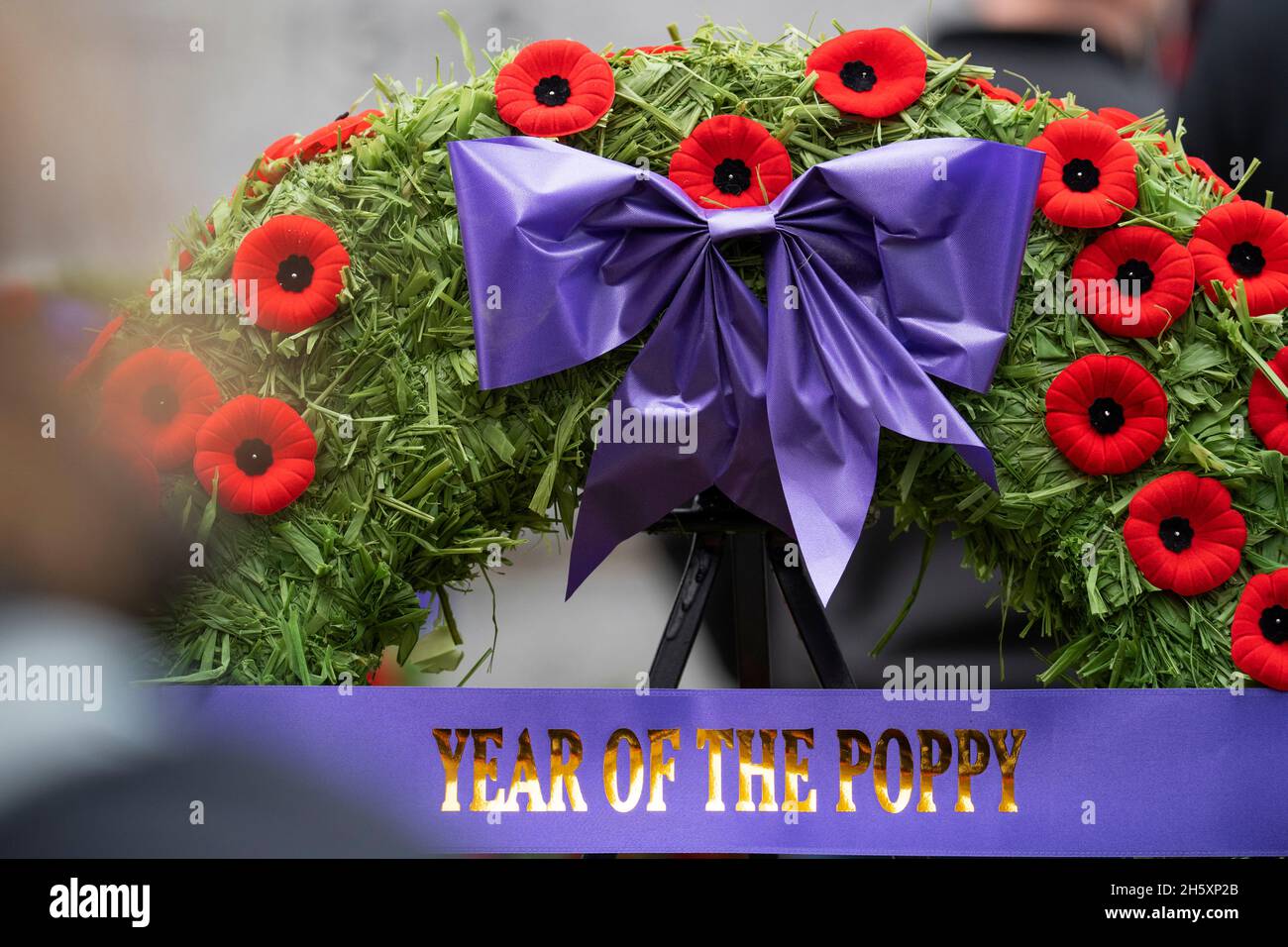 Giornata del ricordo Canada, Wreath, Poppy Foto Stock