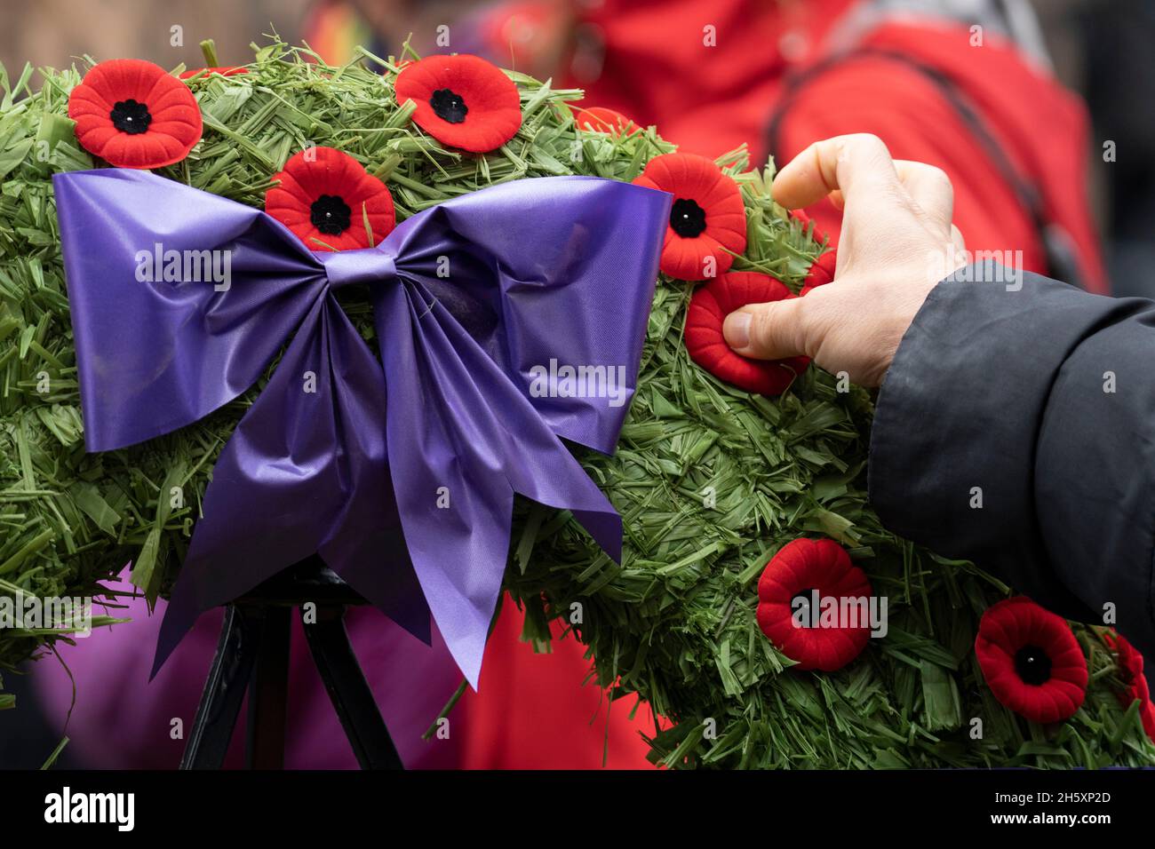 Mano che mette Poppy su Wreath, giorno di ricordo, Toronto, Canada, Foto Stock