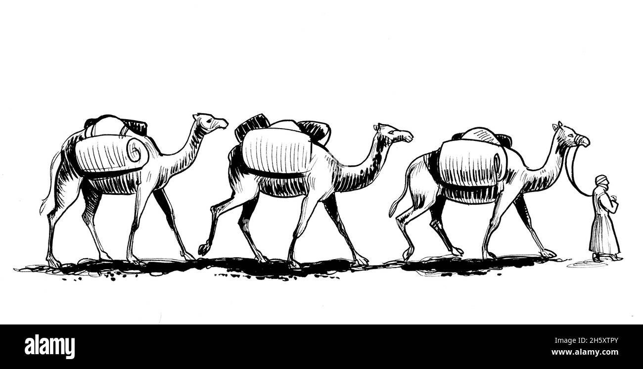 Carovana di cammelli nel deserto. Disegno in bianco e nero con inchiostro Foto Stock