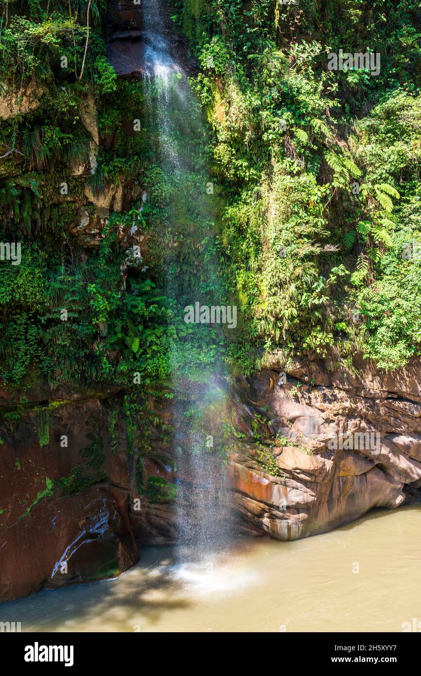 Boquerón del Padre Abad, Aguaytia, Ucayali, Perú, Sudamerica. Foto Stock